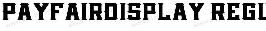 PayfairDisplay Regul字体转换